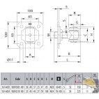 COMUNELLO CARDINE C/CAVALLOTTO PIASTRA C/DADO REG. M20