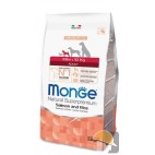 MONGE DOG MINI ADULT SALMONE E RISO kg 2,5
