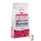 MONGE CAT NATURAL MONOPROTEICO MANZO KITTEN kg.1,5