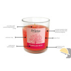 ESPOSITORE DI CANDELE PICCOLE AUTUNNO pz. 72